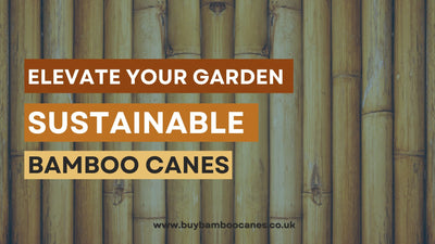 Elevate Your Garden with Sturdy and Sustainable Bamboo Canes