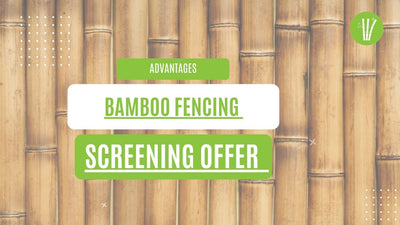 Bamboo fencing screening offer several advantages