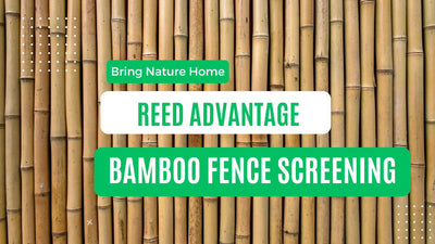 Bring Nature Home with Bamboo Fence Screening