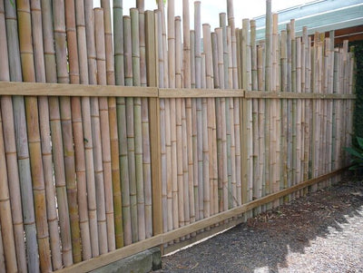 Thick Bamboo Screening: The Durable and Stylish Choice for Outdoor Privacy