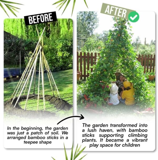 Robust Heavy Duty Professional Bamboo Canes for Plant Support - Image 2