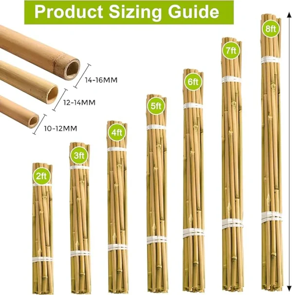 Robust Heavy Duty Professional Bamboo Canes for Plant Support - Image 3