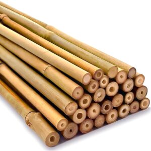 Robust Heavy Duty Professional Bamboo Canes for Plant Support