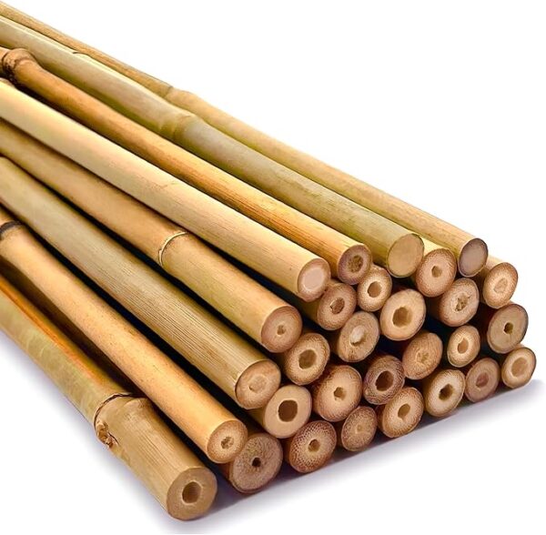 Robust Heavy Duty Professional Bamboo Canes for Plant Support