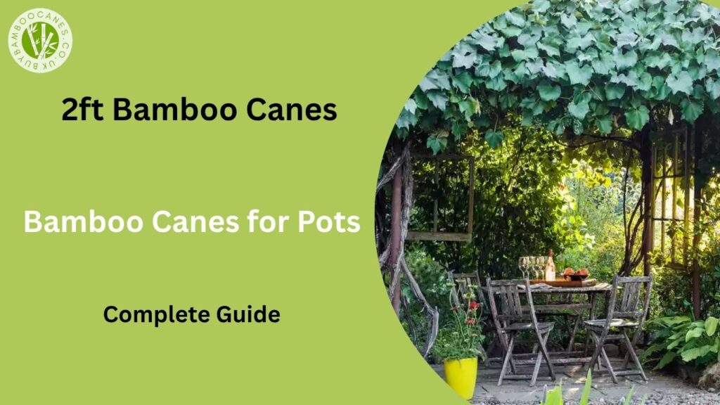 2ft Bamboo Canes