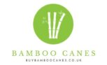 Top Quality – Buy Bamboo Canes in UK